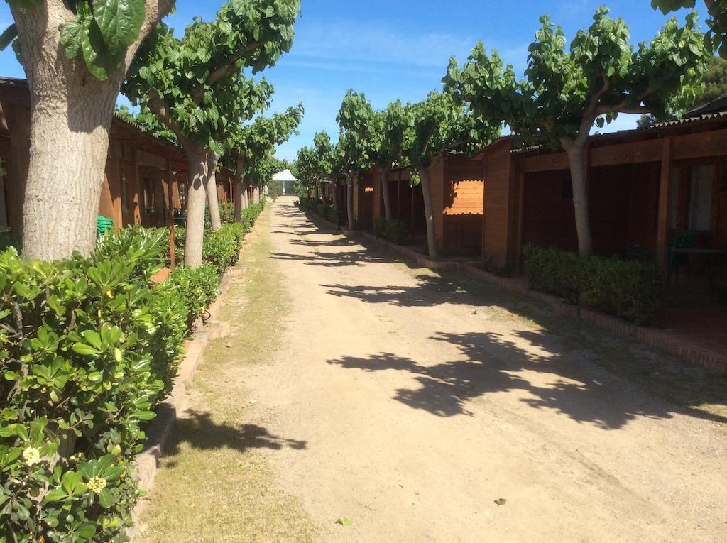 Campingplatz Playa Y Fiesta 2*