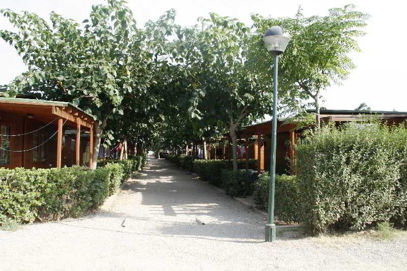 Campingplatz Playa Y Fiesta 2*